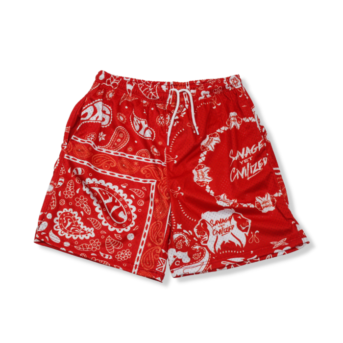 *NEW*SYC Paisleys Mesh Shorts Cherry Pop