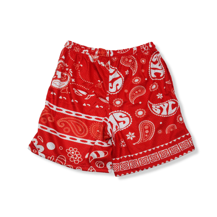 *NEW*SYC Paisleys Mesh Shorts Cherry Pop - Image 2