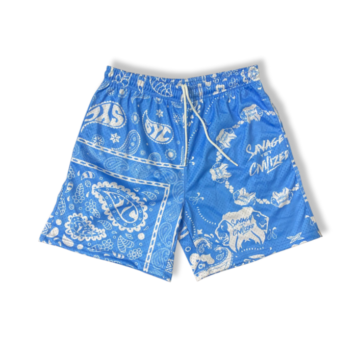 *NEW*SYC Paisleys Mesh Shorts Carolina Blue